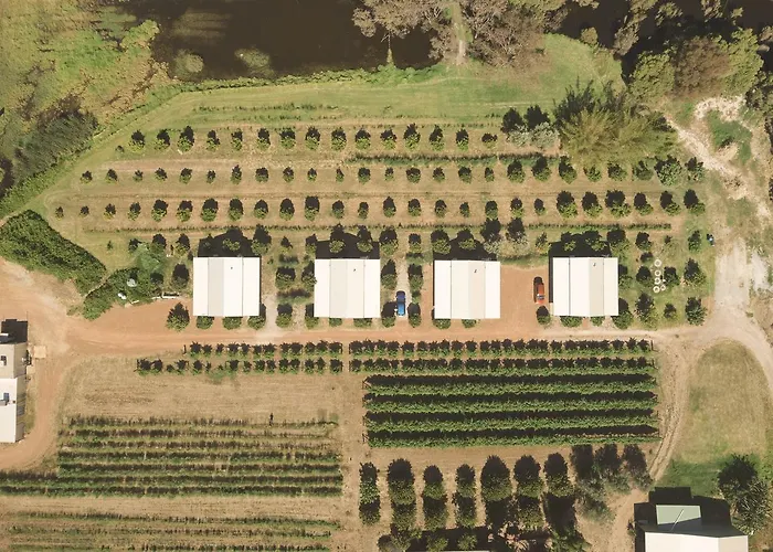 Swan Valley Sisters
